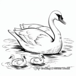 Baby Swan (Cygnets) Coloring Pages for Children 2