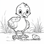Baby Turkey Chick Coloring Pages 3