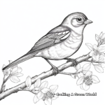 Baltimore Oriole and Orange Tree Coloring Page 2