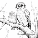 Barred Owl Family in the forest: Nature-scene Coloring Pages 2