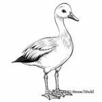 Beautiful Bar-headed Goose Coloring Pages 1