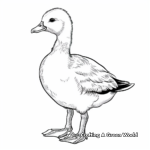 Beautiful Bar-headed Goose Coloring Pages 3