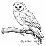 Beautiful Barn Owl Coloring Pages 1