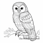 Beautiful Barn Owl Coloring Pages 2