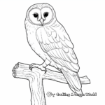 Beautiful Barn Owl Coloring Pages 3