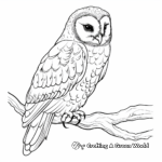 Beautiful Barn Owl Coloring Pages 4