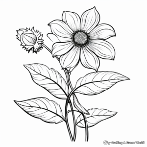 Beautiful Black-eyed Susan Fall Coloring Pages 4