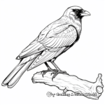 Beautiful Black Raven Coloring Pages 3