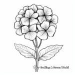 Beautiful Blue Hydrangea Coloring Pages 1
