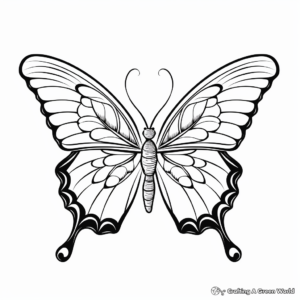 Beautiful Butterfly Coloring Pages for Stress Relief 1