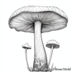 Beautiful Chanterelle Mushroom Coloring Pages 3