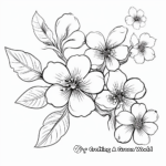 Beautiful Cherry Blossom Coloring Pages 2