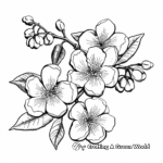 Beautiful Cherry Blossom Coloring Sheets 4