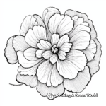 Beautiful Corolla of a Flower Coloring Pages 1
