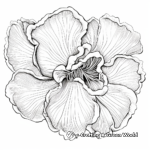 Beautiful Corolla of a Flower Coloring Pages 3