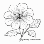 Beautiful Geranium Flower Coloring Pages 2
