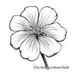 Beautiful Geranium Flower Coloring Pages 4