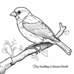 Beautiful House Sparrow Coloring Pages 1