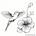 Beautiful Hummingbird and Hibiscus Coloring Pages 2