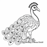 Beautiful Indian Peacock Coloring Pages 4