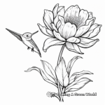 Beautiful Lotus and Hummingbird Coloring Pages 1