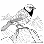 Beautiful Mountain Chickadee Coloring Pages 2