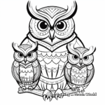Beautiful Owl Patterns for Advanced Colorists 1