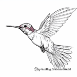 Beautiful Ruby Throated Hummingbird Coloring Pages 2