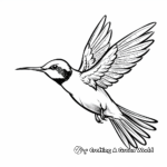 Beautiful Ruby Throated Hummingbird Coloring Pages 4