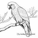 Beautiful Scarlet Macaw Coloring Pages 1