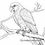Beautiful Scarlet Macaw Coloring Pages 4