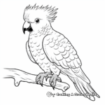 Beautiful Sulphur-Crested Cockatoo Coloring Pages 1