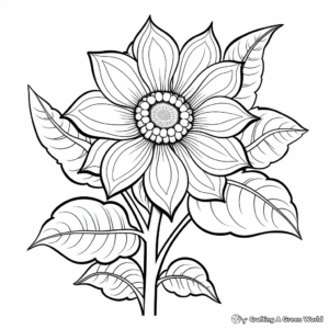 Beautiful Sunflower Coloring Pages 1