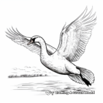 Beautiful Swan in Flight Coloring Pages for Artists 1