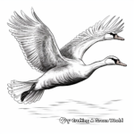 Beautiful Swan in Flight Coloring Pages for Artists 2