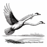 Beautiful Swan in Flight Coloring Pages for Artists 3