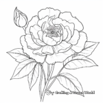 Beautiful Traditional Peony Coloring Pages 4