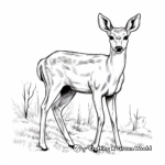 Beautiful White Tailed Deer in Autumn Coloring Page 4