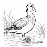 Beautiful Wood Duck Coloring Pages 3