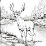 Big Buck Drinking by Lake Coloring Sheets 1