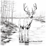 Big Buck Drinking by Lake Coloring Sheets 2