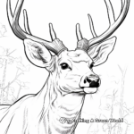 Big Buck Head Close-up Coloring Pages 3