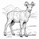 Bighorn Sheep in the Wild: Natural Scene Coloring Pages 2