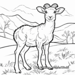 Bighorn Sheep in the Wild: Natural Scene Coloring Pages 4