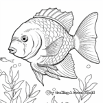 Biodiversity: Variety of Sunfish Species Coloring Page 1