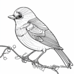 Bird Anatomy Coloring Pages 3