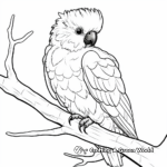 Bird-Lovers Cockatoo Coloring Page 2