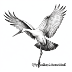 Birds in Flight: Crane Coloring Pages 3
