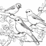 Birds of Different Climates Coloring Pages 1