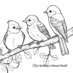 Birds of Different Climates Coloring Pages 4